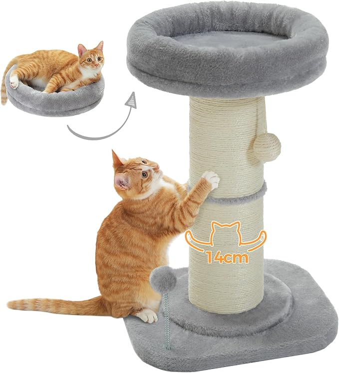 Pezzo Cat Scratching Post with Plush Flower Design and Interactive Toys – 60cm Tall