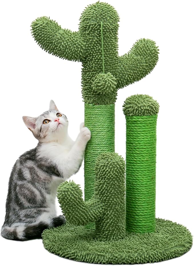 Petzo ‘Cactus’ – 53 cm & 68.5 cm Scratcher: Sturdy & Eye-Catching