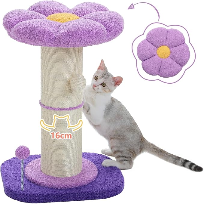 Pezzo Cat Scratching Post with Plush Flower Design and Interactive Toys – 60cm Tall