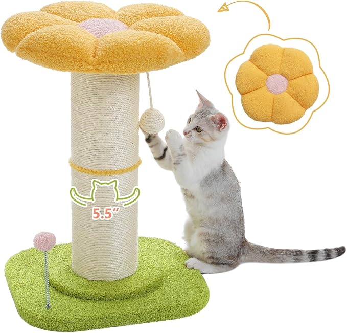 Pezzo Cat Scratching Post with Plush Flower Design and Interactive Toys – 60cm Tall