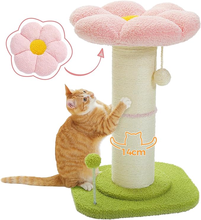 Pezzo Cat Scratching Post with Plush Flower Design and Interactive Toys – 60cm Tall